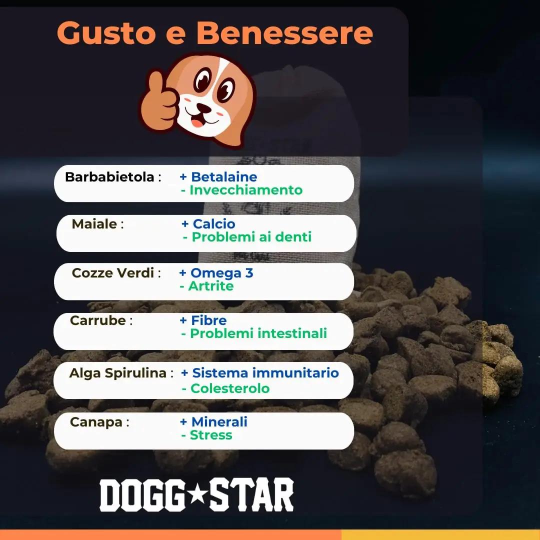 Dogg Star looduslik koogikesi – maius igale koerale – pakend ja tarvikud