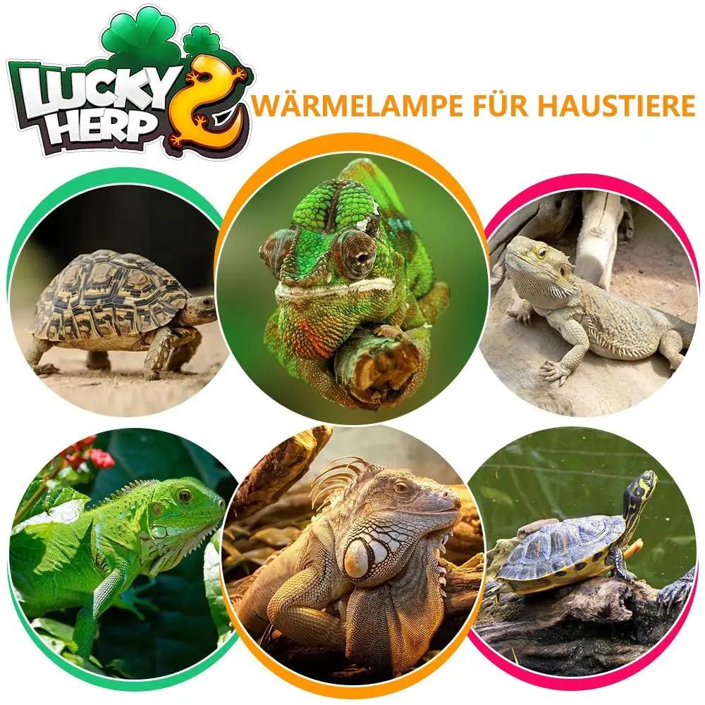 LUCKY HERP UV-A/UV-B klaasist terrarium soojalamp 125W – pilt 6