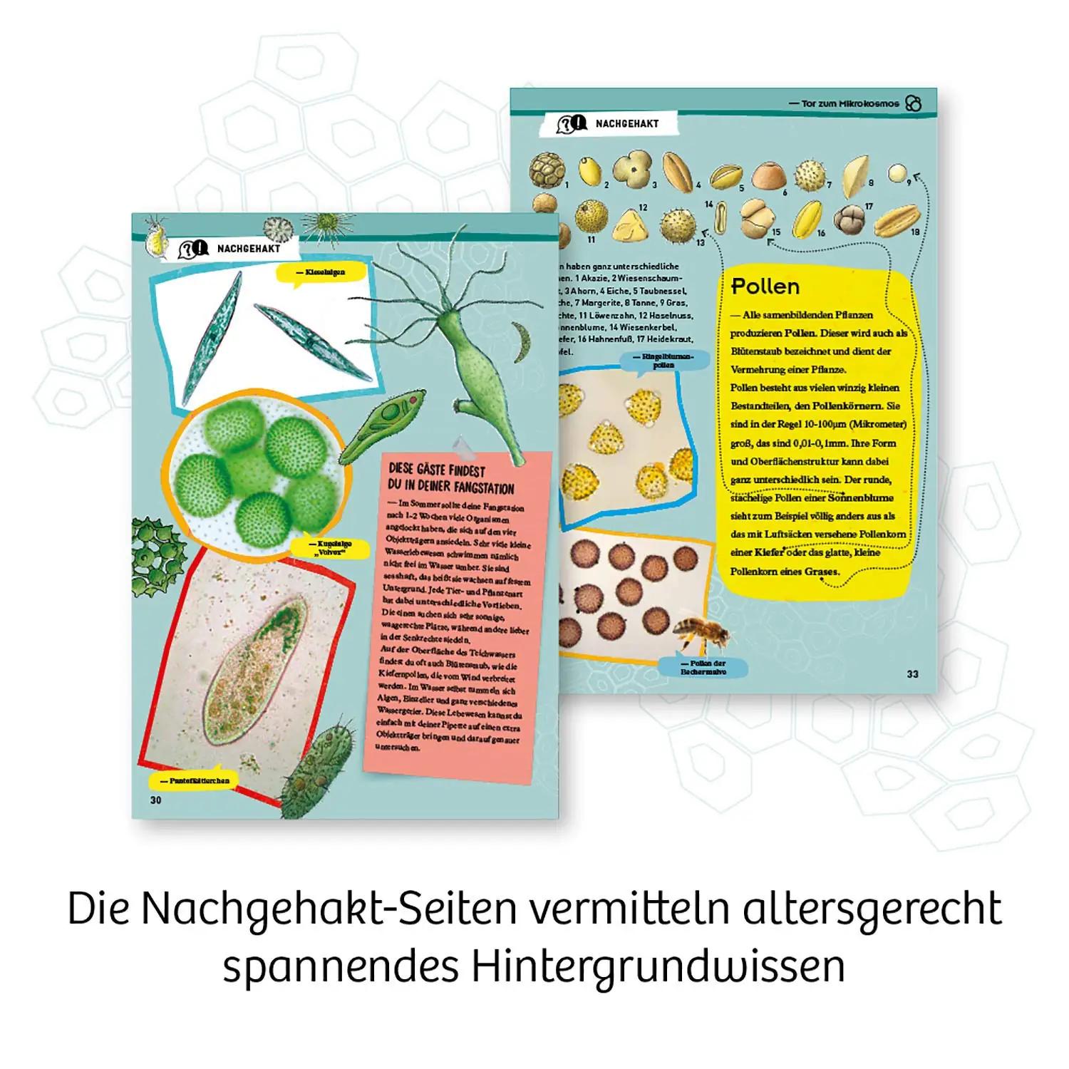 Kosmos lapse teadusmikroskoop 636050 – avastusmänguks – pilt 6