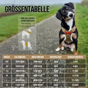 OneTigris TG-GBX03 valjad – detailne lähivaade