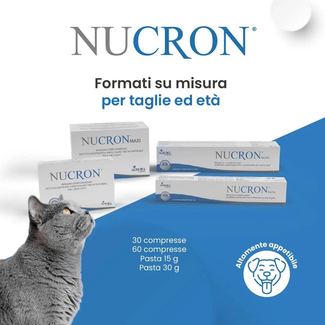 Aurora biofarma tugevatoimeline seedepärand koertele ja kassidele – pakend ja tarvikud