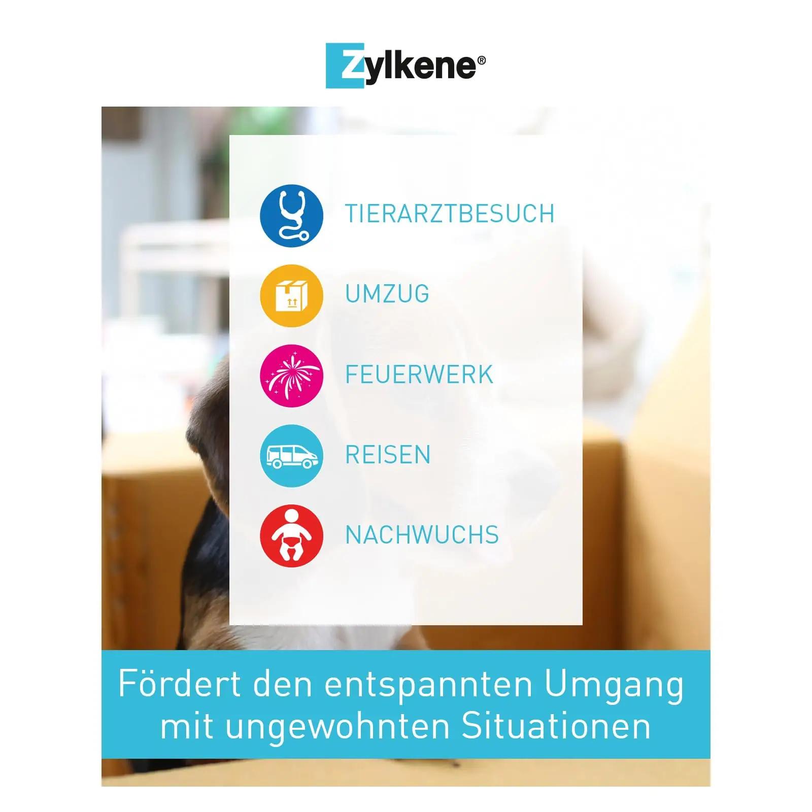 Vetoquinol Zylkene 450 mg — stressi leevendav kapsel koertele – pilt 8