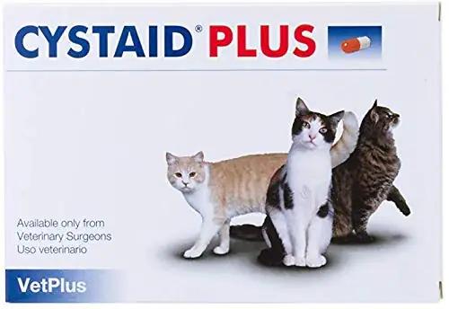 Cystaid loomadele: probiootiline toetav kapsel terviseks – detailne vaade