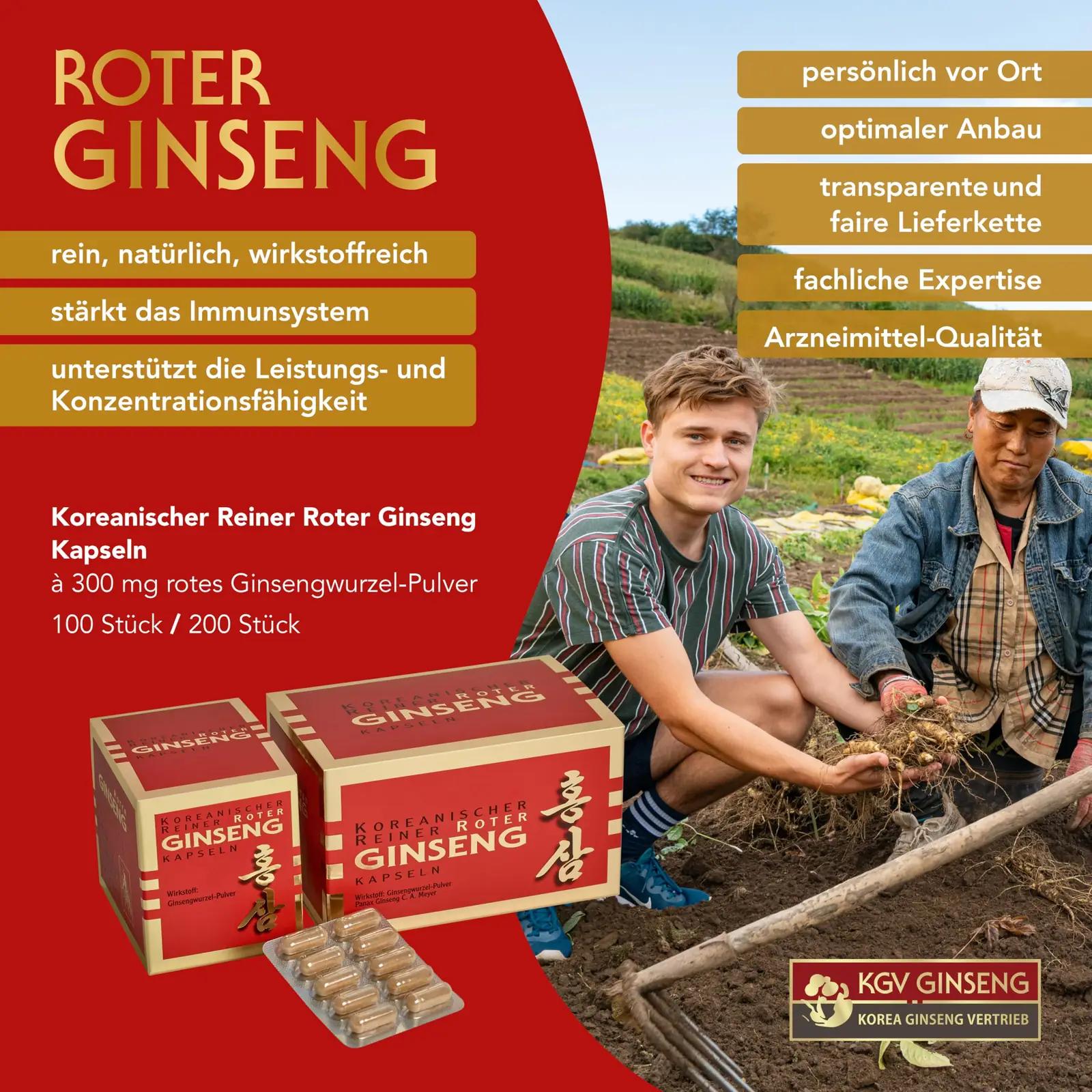 KGV GINSENG – mineraalid ja toidulisandid – lisavaade
