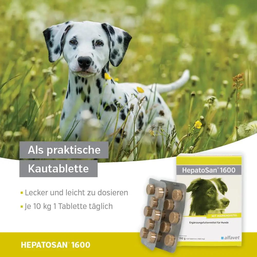 Alfavet toetav maksatoode koertele – 120 tabletti 1600 mg – pilt 6
