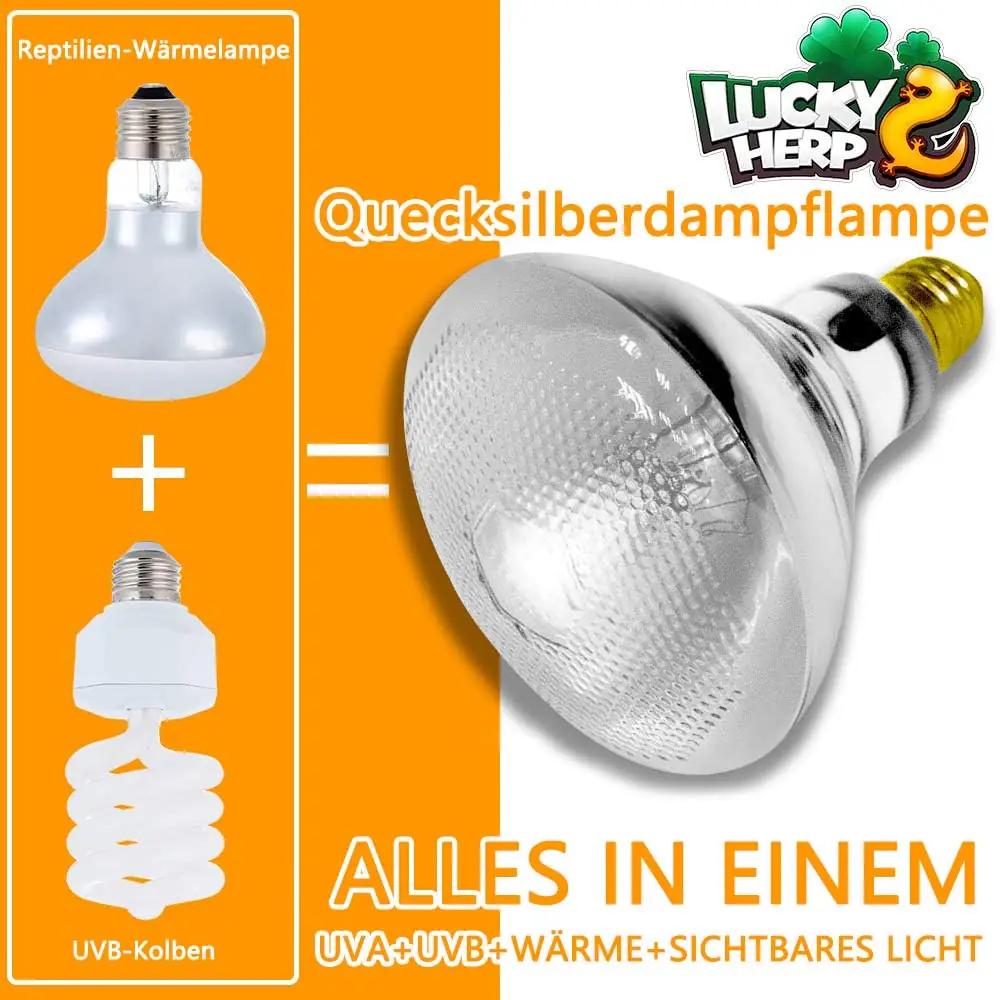 LUCKY HERP soojalambid – detailne lähivaade