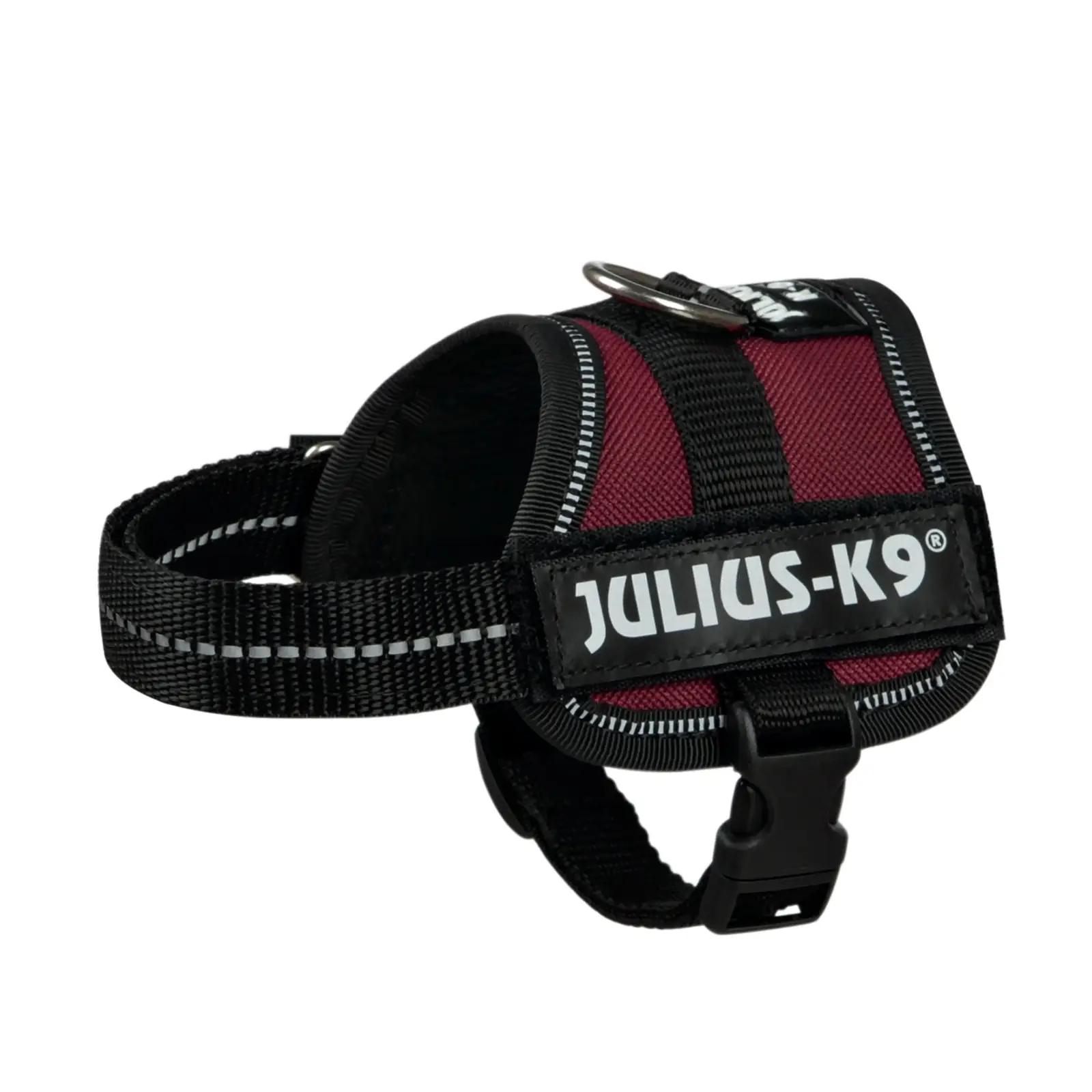 JULIUS K-9 tugev nailonist rakmed – mugav ja turvaline valik – pilt 7