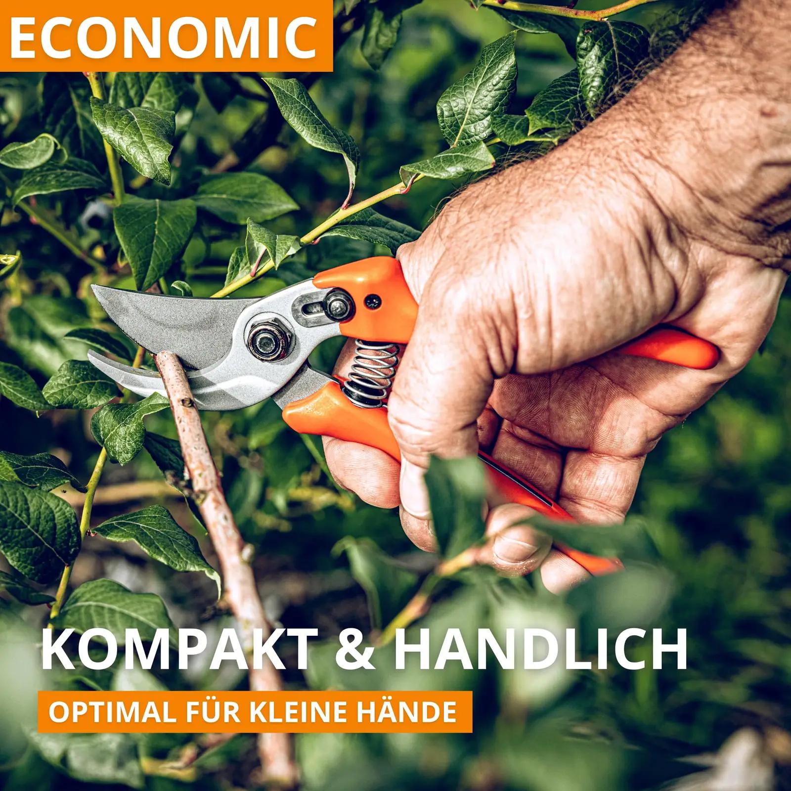 Original LÖWE 14107 aiakäärid ja oksakäärid – detailne lähivaade