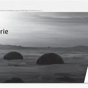 HP SV134A tooner – toote esivaade