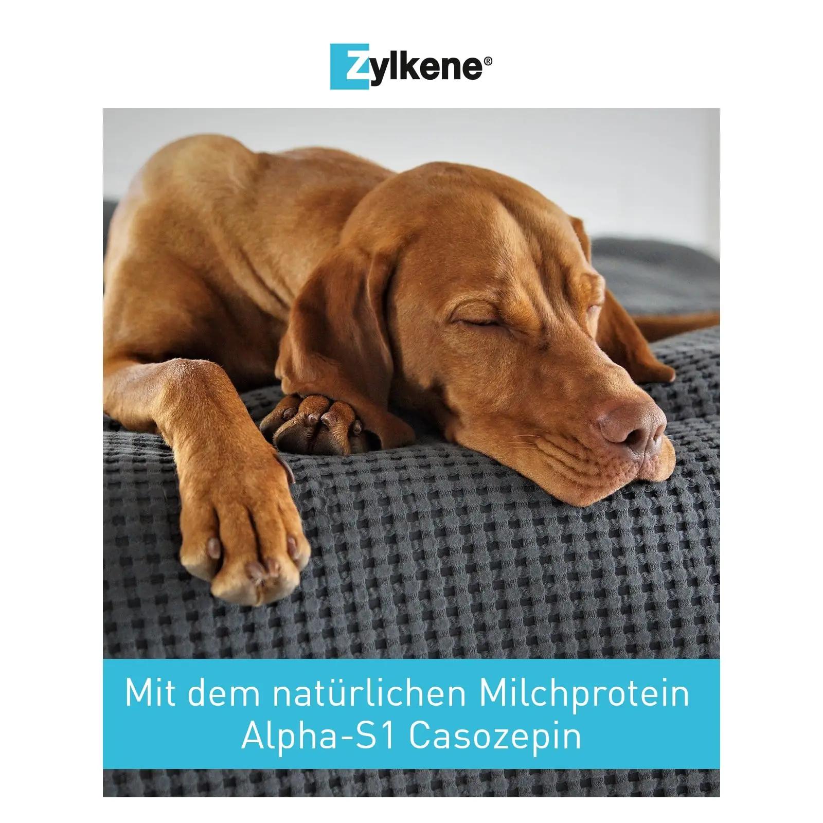 Vetoquinol Zylkene 450 mg — stressi leevendav kapsel koertele – pilt 6