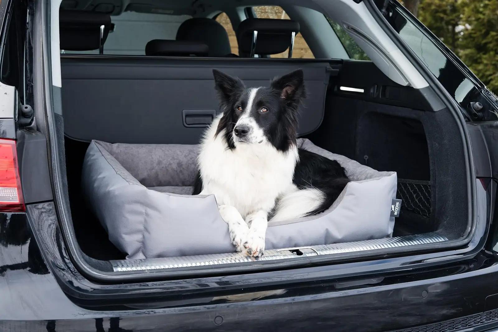 BedDog vastupidav koeravoodi LUPI-XL-THE-ROCK — pestav kate – pilt 6