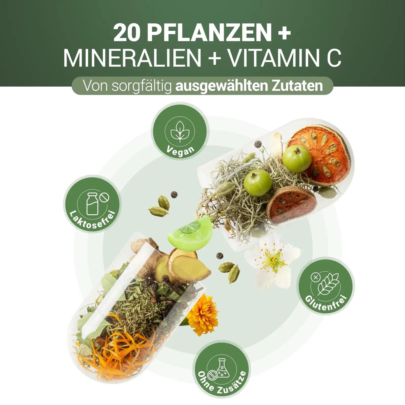 PADMA 28 active C-vitamiini ja taimede tugi heaolule – pakend ja tarvikud