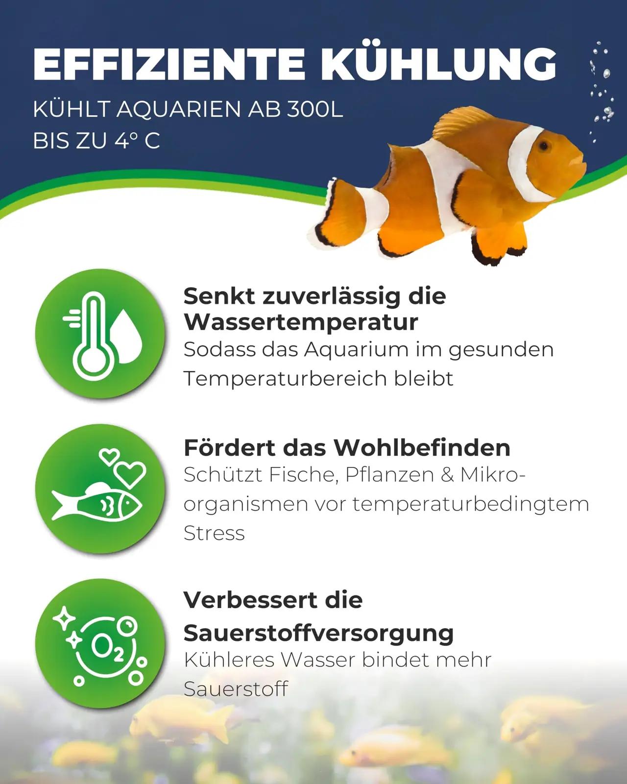 Hobby 10955 lemmikloomad – detailne lähivaade