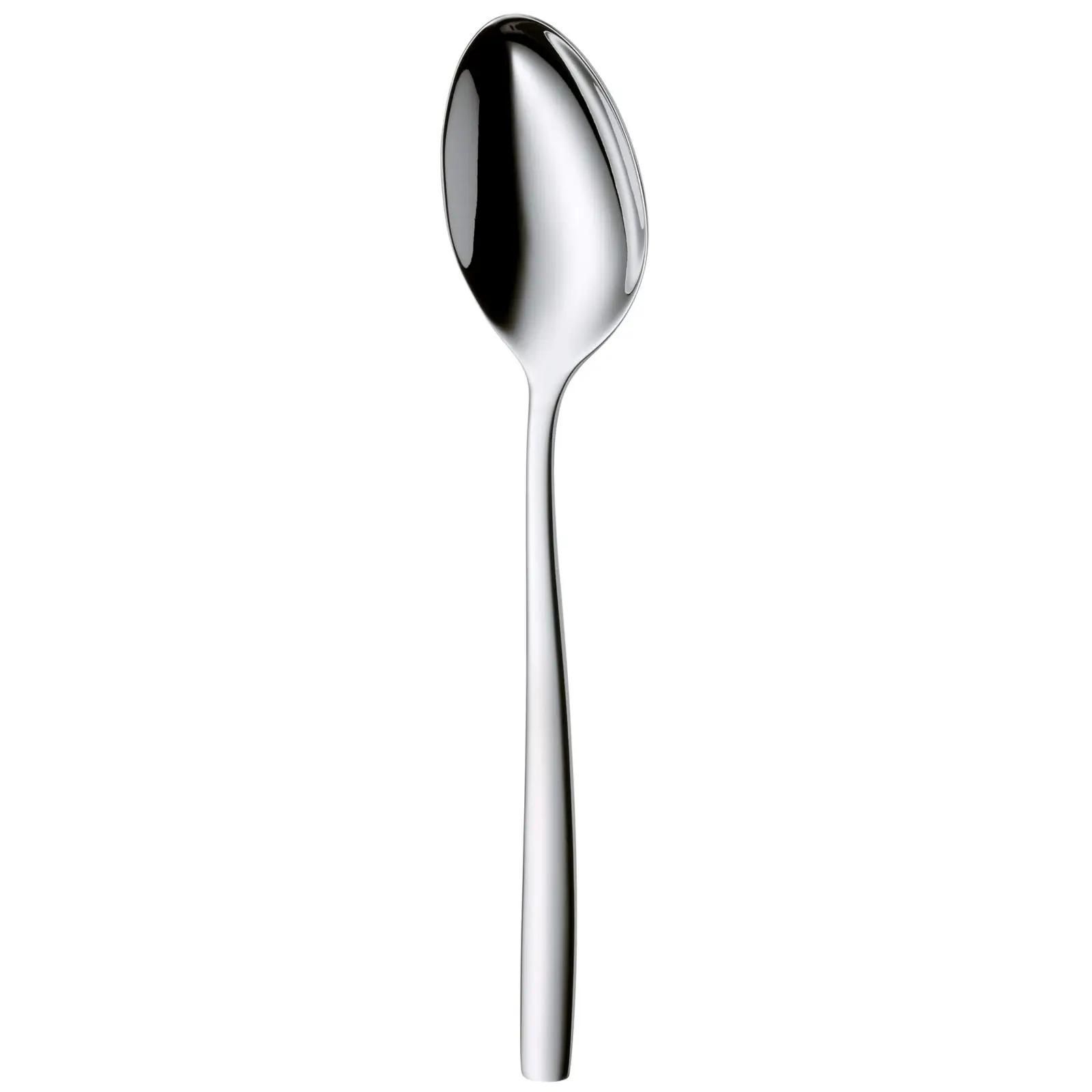 WMF roostevaba lauahõbe 60‑osa komplekt – elegantne kingitus – pilt 11