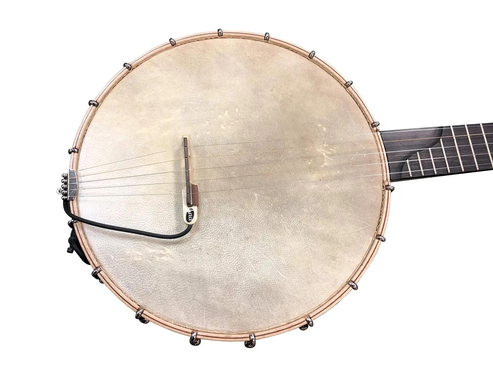 KNA naturaalse ahornpuitu banjo pickup – kompaktne BP-1 – detailne vaade
