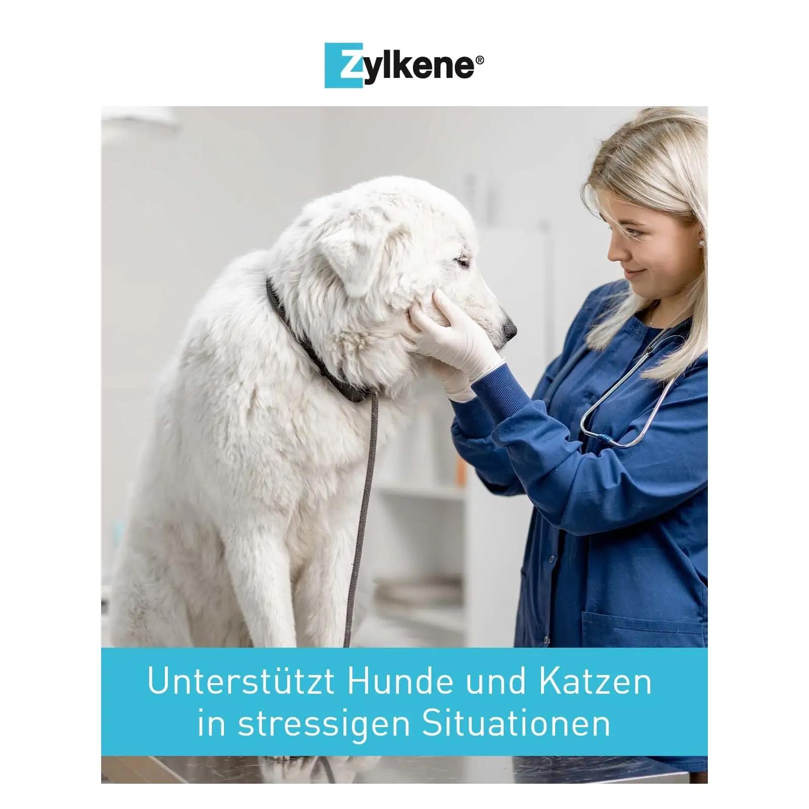 Vetoquinol Zylkene 450 mg — stressi leevendav kapsel koertele – pilt 7