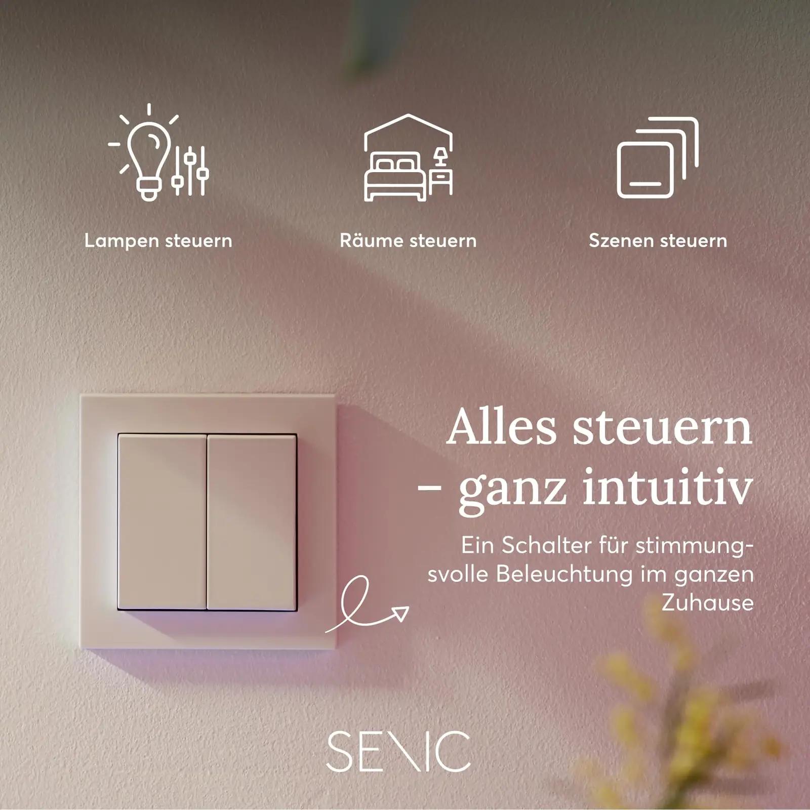 Senic nutikas seinalüliti – traadita, patareideta, elegantne – pakend ja tarvikud