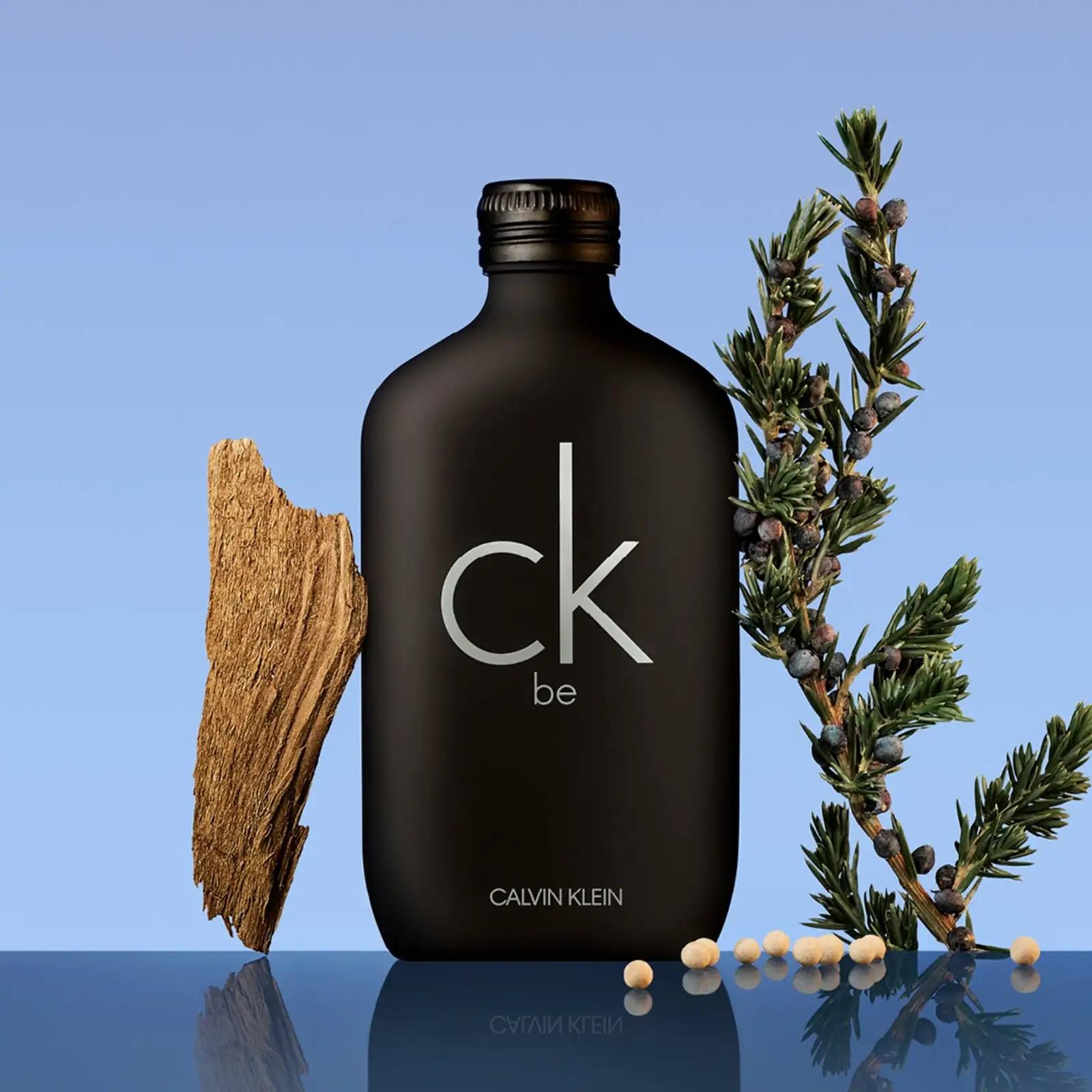 Calvin Klein lõhnakollektsioon — värske 200 ml Eau de Toilette – lisavaade