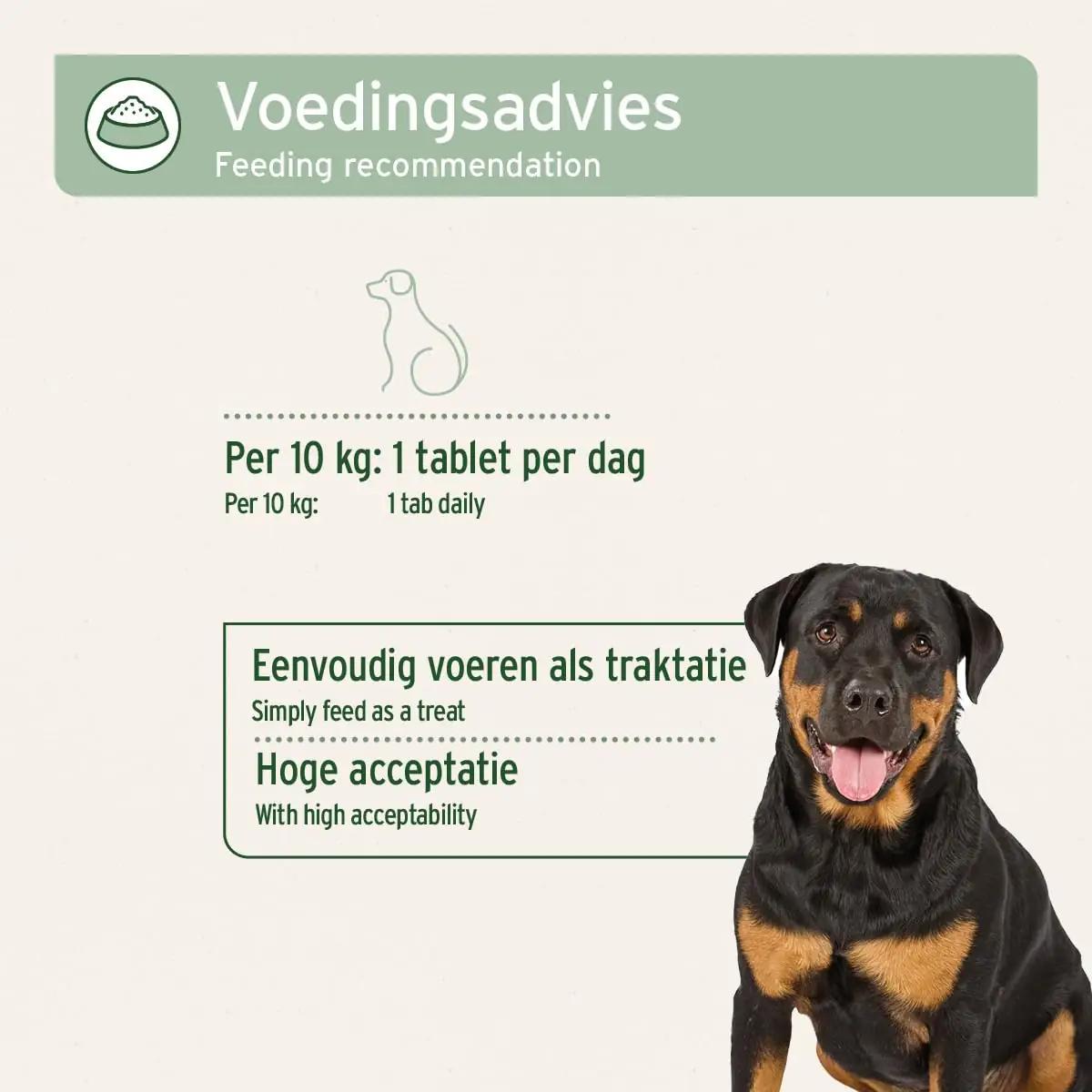 AniForte looduslikud glukoosamiini tabletid koerale — liigestele – lisavaade