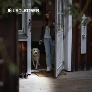 Ledlenser 502178 taskulambid – detailne lähivaade