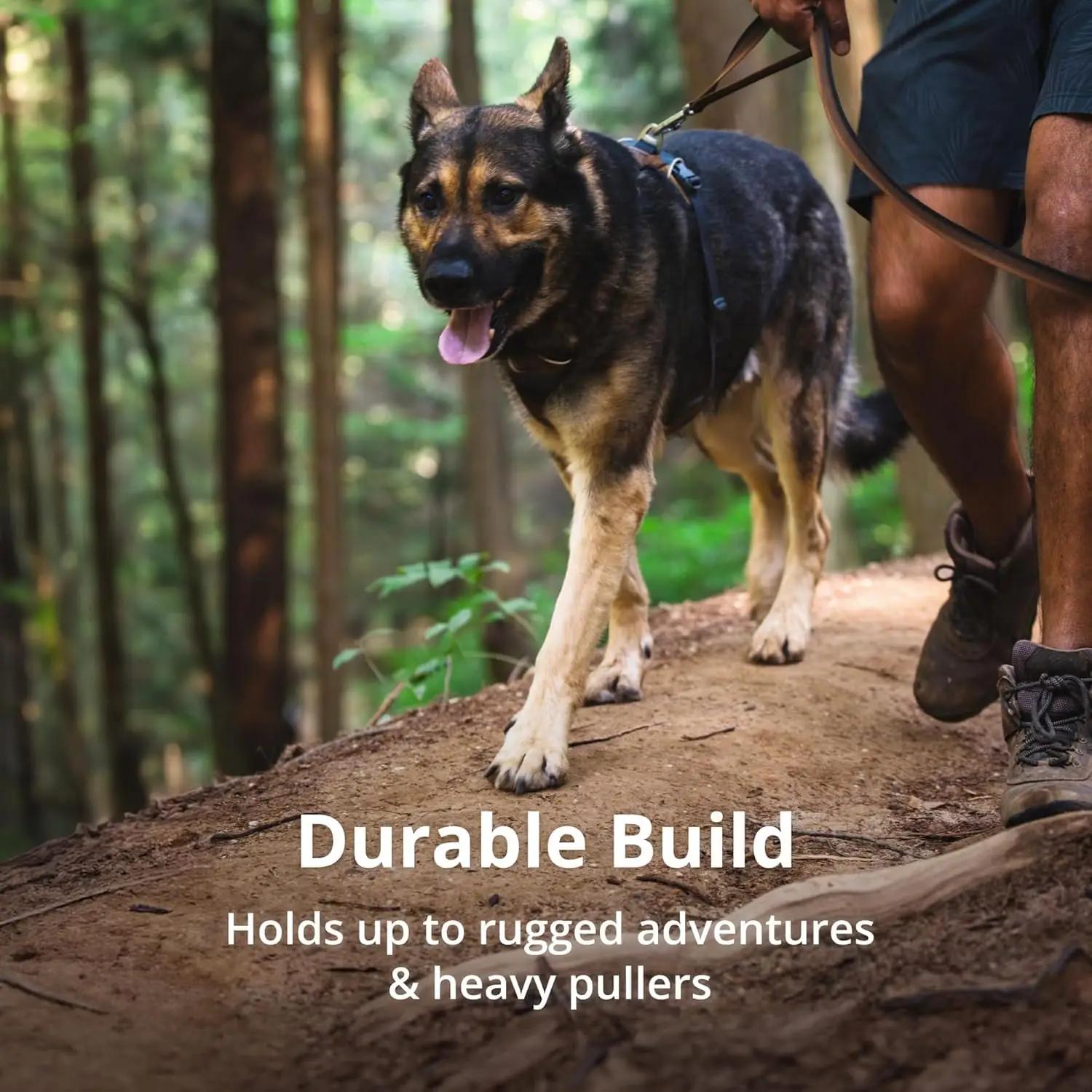 RUFFWEAR mugav ja reguleeritav koera valjaheide – Red Summac – pilt 8