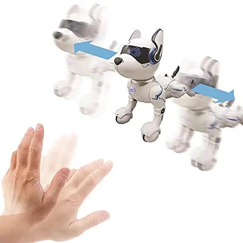 Lexibook robokoer DOG01 – interaktiivne mänguasi lastele – pakend ja tarvikud