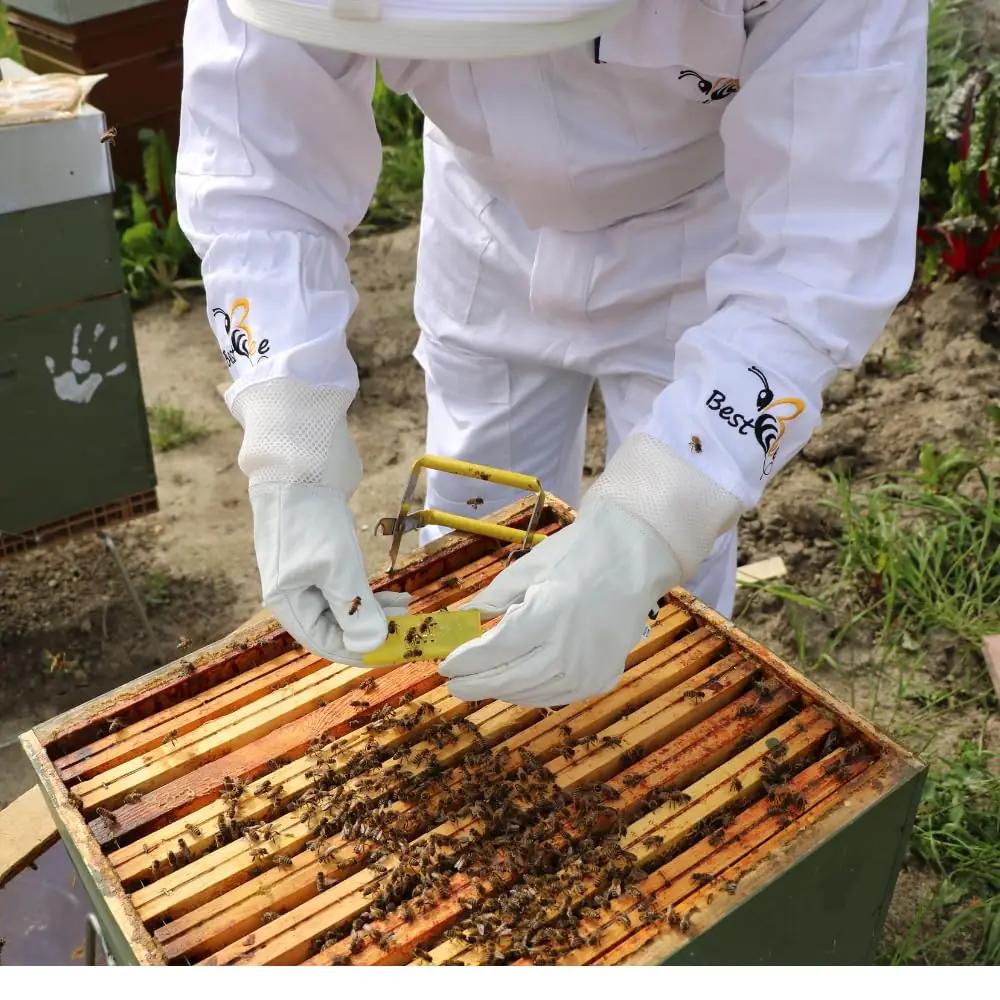 Best Bee kaitseimiku paks puuvillane ülikond — mugav ja – pakend ja tarvikud
