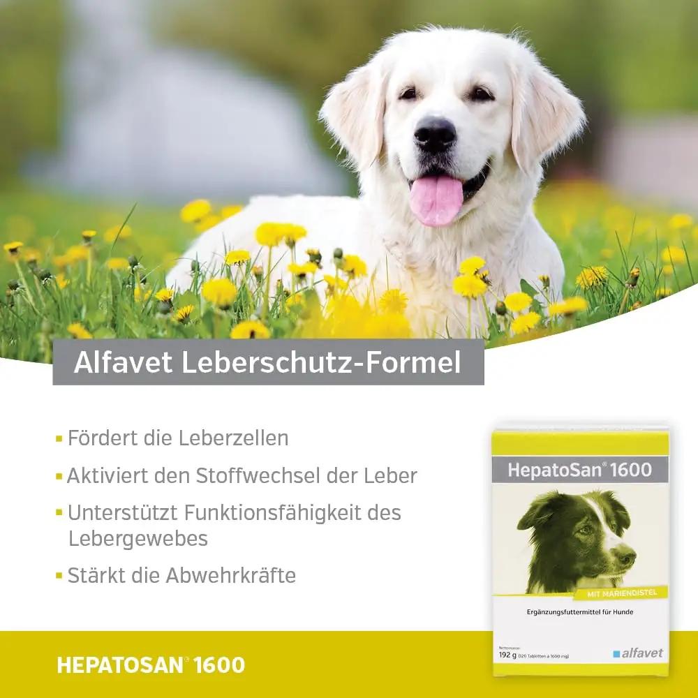 Alfavet toetav maksatoode koertele – 120 tabletti 1600 mg – lisavaade