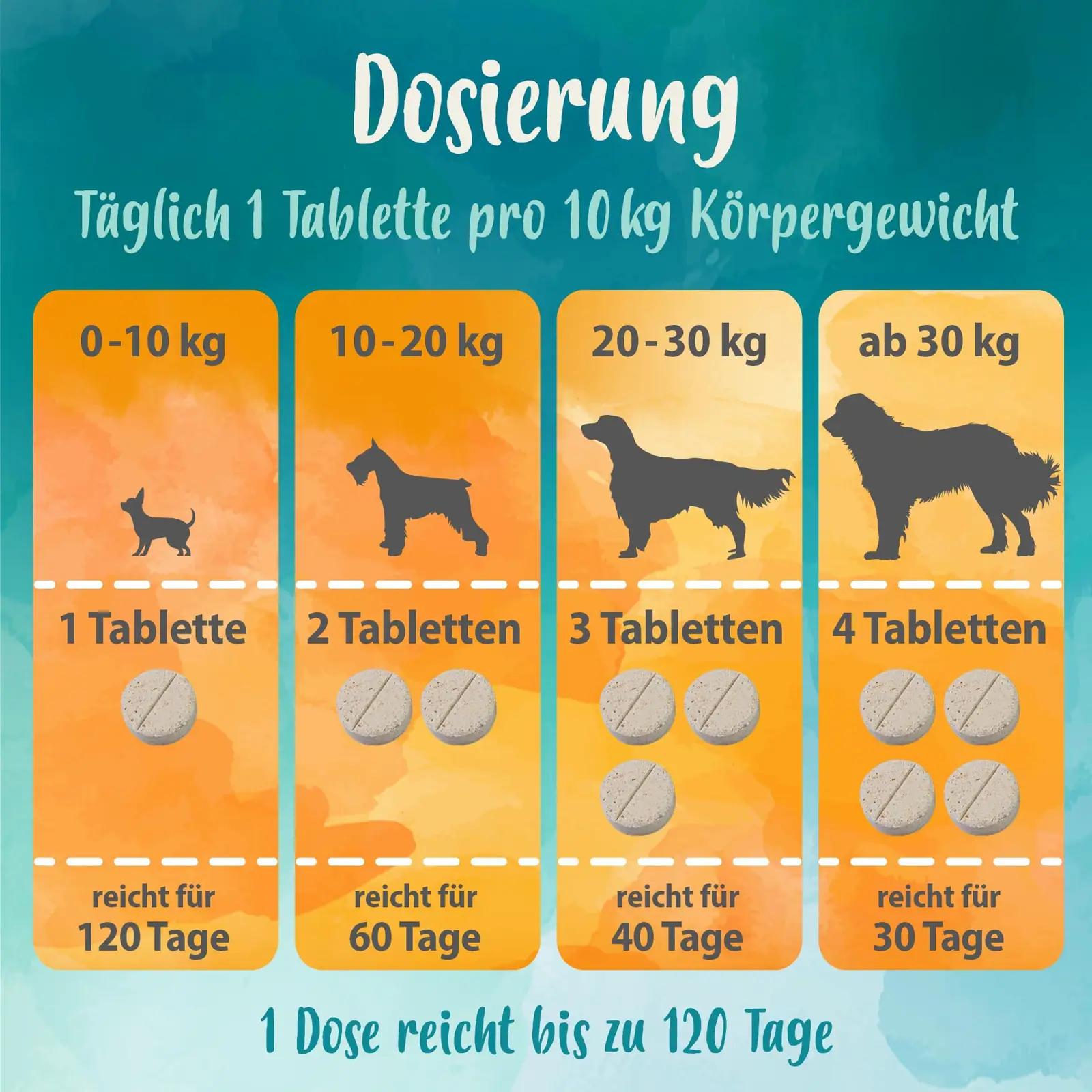 Ida Plus probiootiline kõhuhooldus koerale — 240 tabletti – kasutusnäide