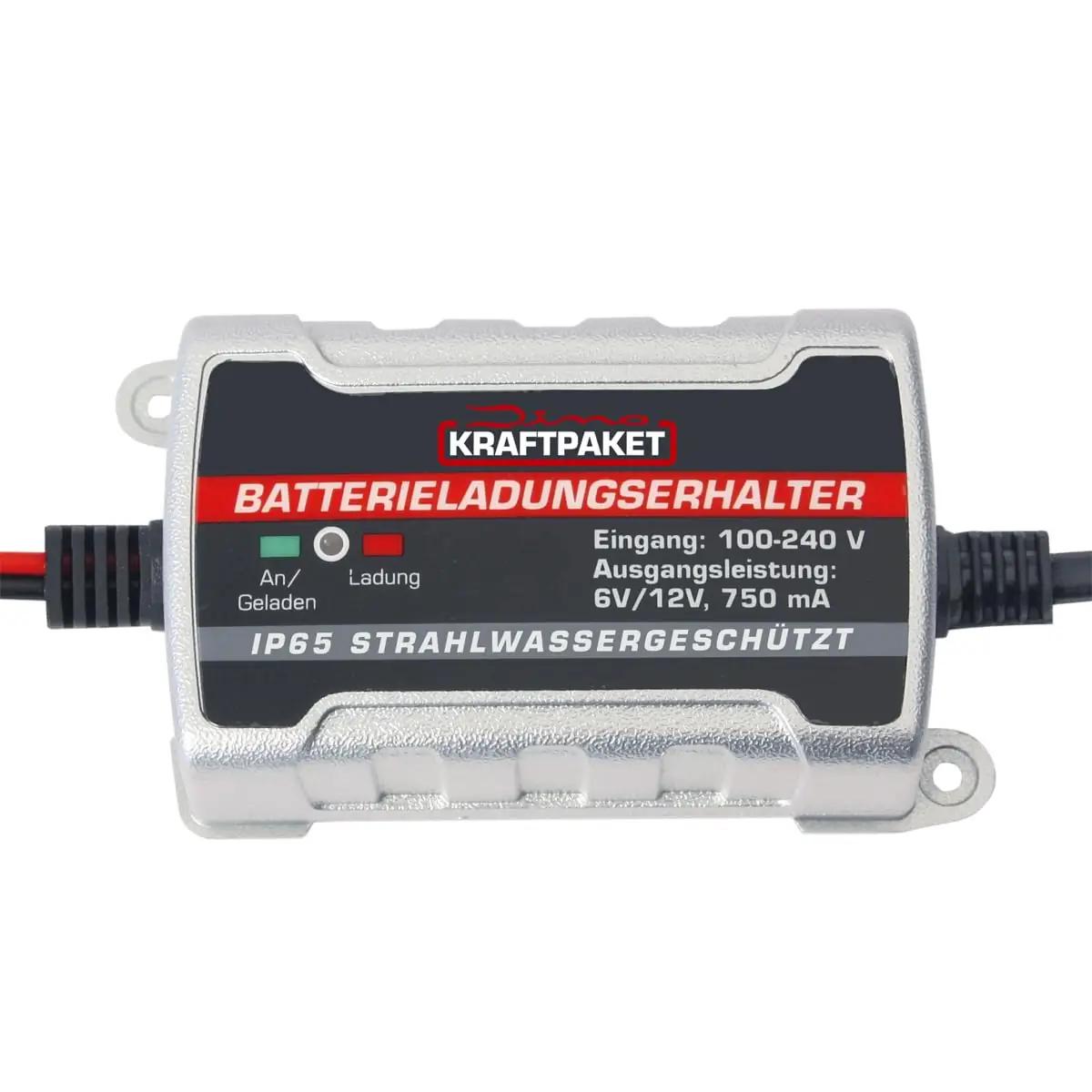 Dino KRAFTPAKET nutikas akulahusti 6V/12V – säästva hooldusega – lisavaade