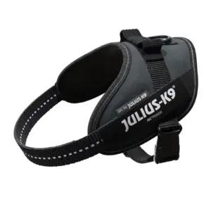JULIUS K-9 16IDC-ANT-M lemmikloomad – toote esivaade
