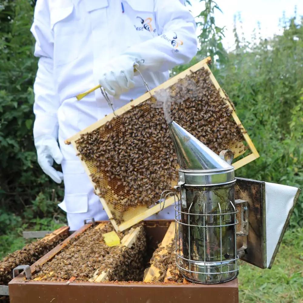 Best Bee kaitseimiku paks puuvillane ülikond — mugav ja – pilt 9