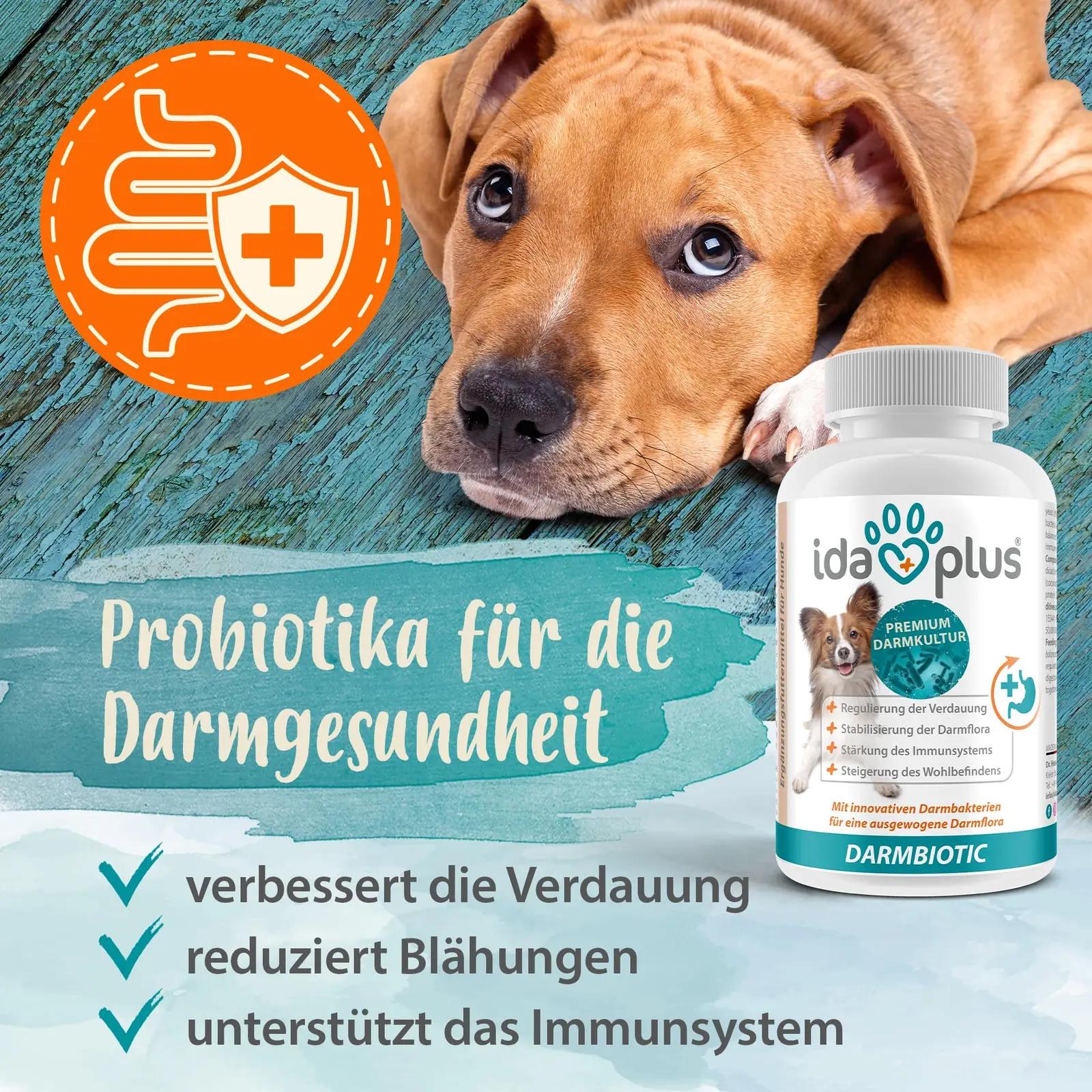 Ida Plus probiootiline kõhuhooldus koerale — 240 tabletti – detailne vaade