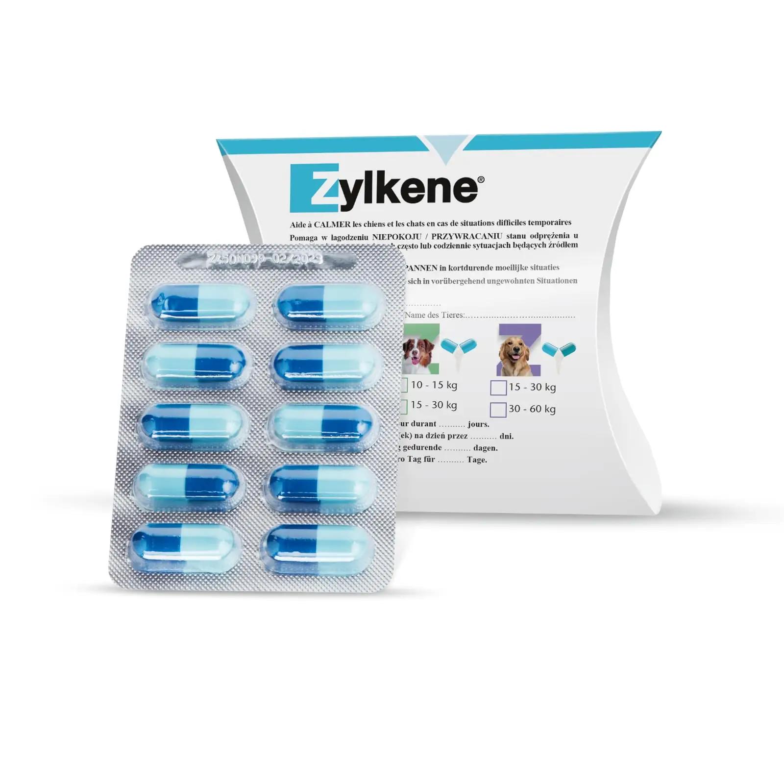 Vetoquinol Zylkene 450 mg — stressi leevendav kapsel koertele – kasutusnäide