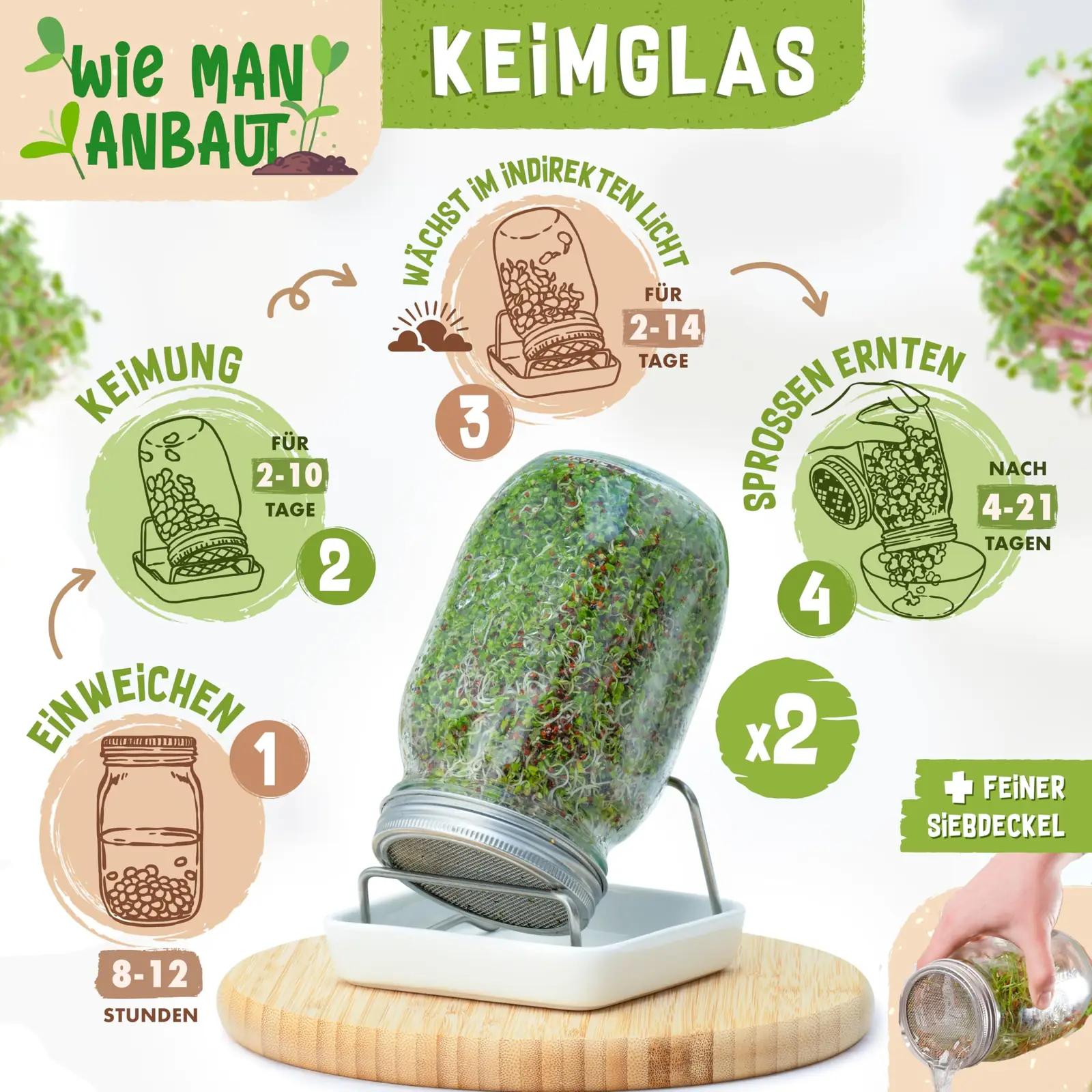 zengreens klaasne idandamiskomplekt — naturaalse ja mugava – pakend ja tarvikud