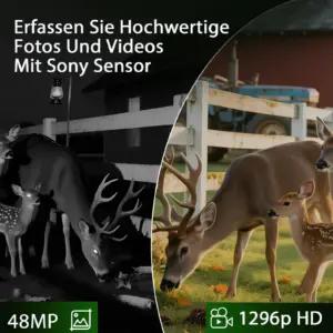 Meidase P200 vaatlusmonitorid – detailne lähivaade