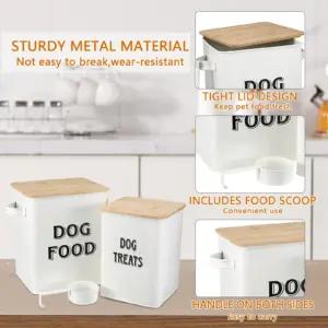 Pethiy Dog-Bianco lemmikloomad – detailne lähivaade