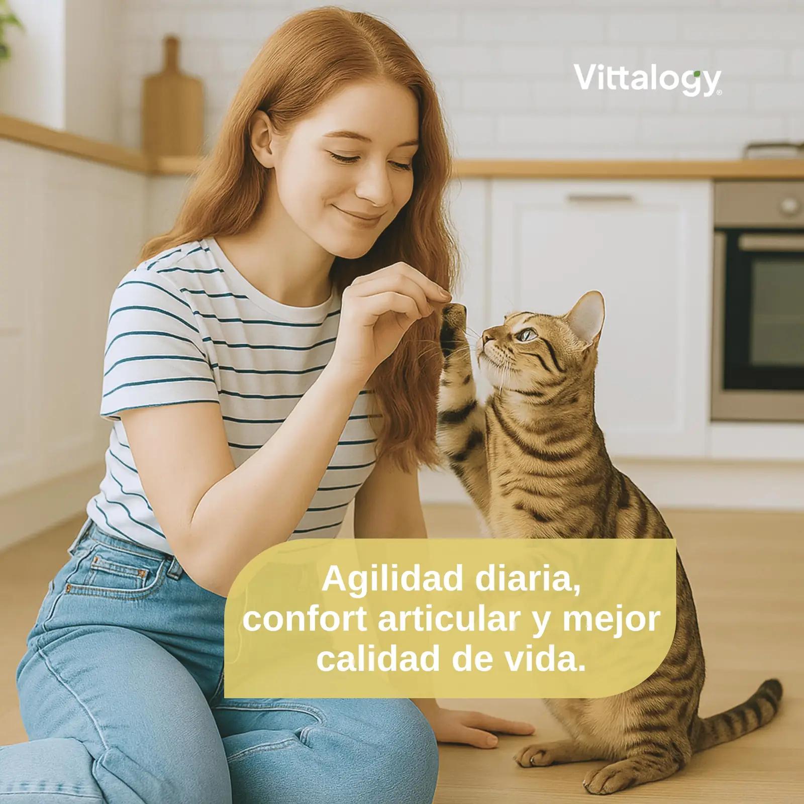 VITTALOGY looduslik liigeste toidulisand kassidele — 120 kapslit – pilt 8