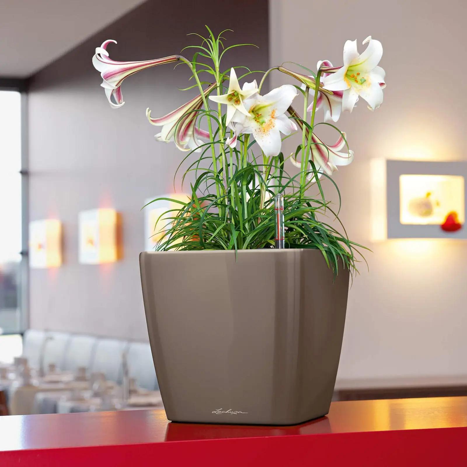 Lechuza elegantne pottiümbris Premium LS 35 valge läige – kasutusnäide