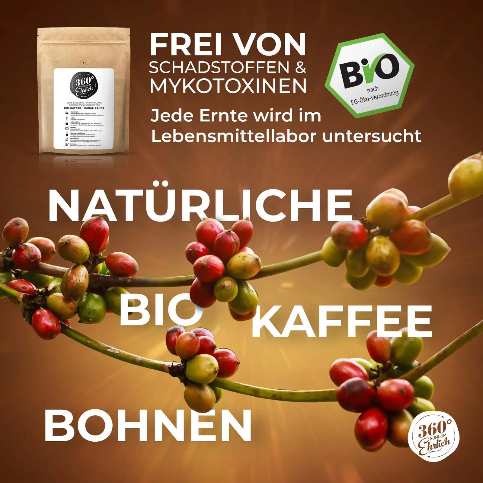 360° Rundum Ehrlich mahe kohvioad 1 kg — pehme ja vähese – kasutusnäide