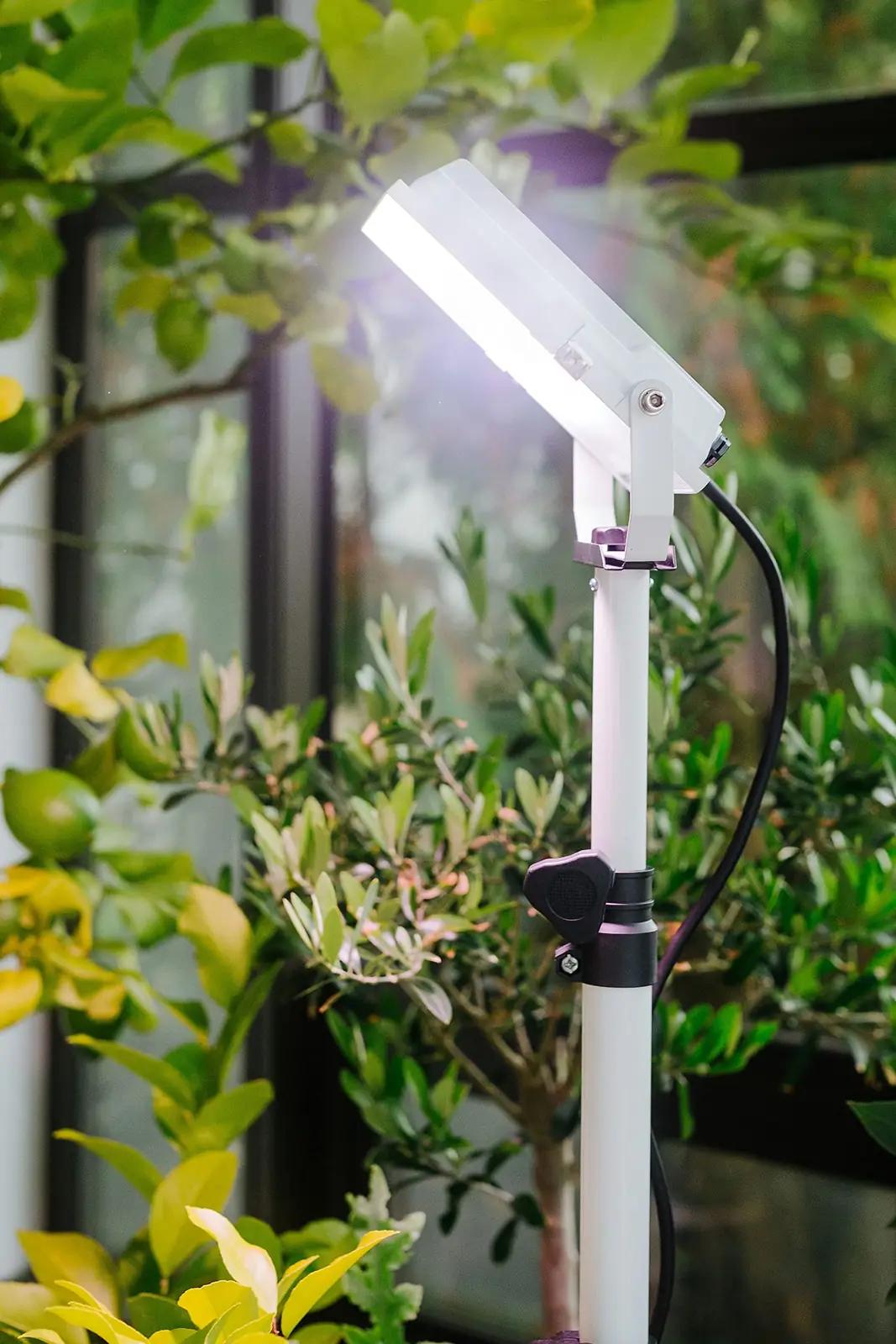 Meine Orangerie energiasäästlik LED-taimevalgusti talveks – pilt 8