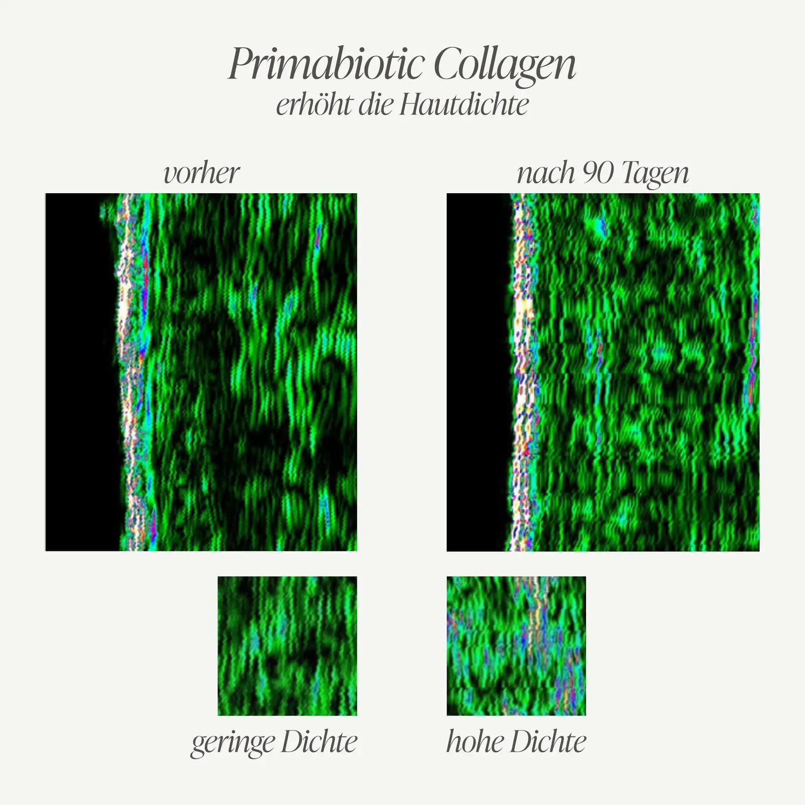 PRIMABIOTIC vedel kollageen 10 000 mg naha ja juuste jaoks – pilt 7
