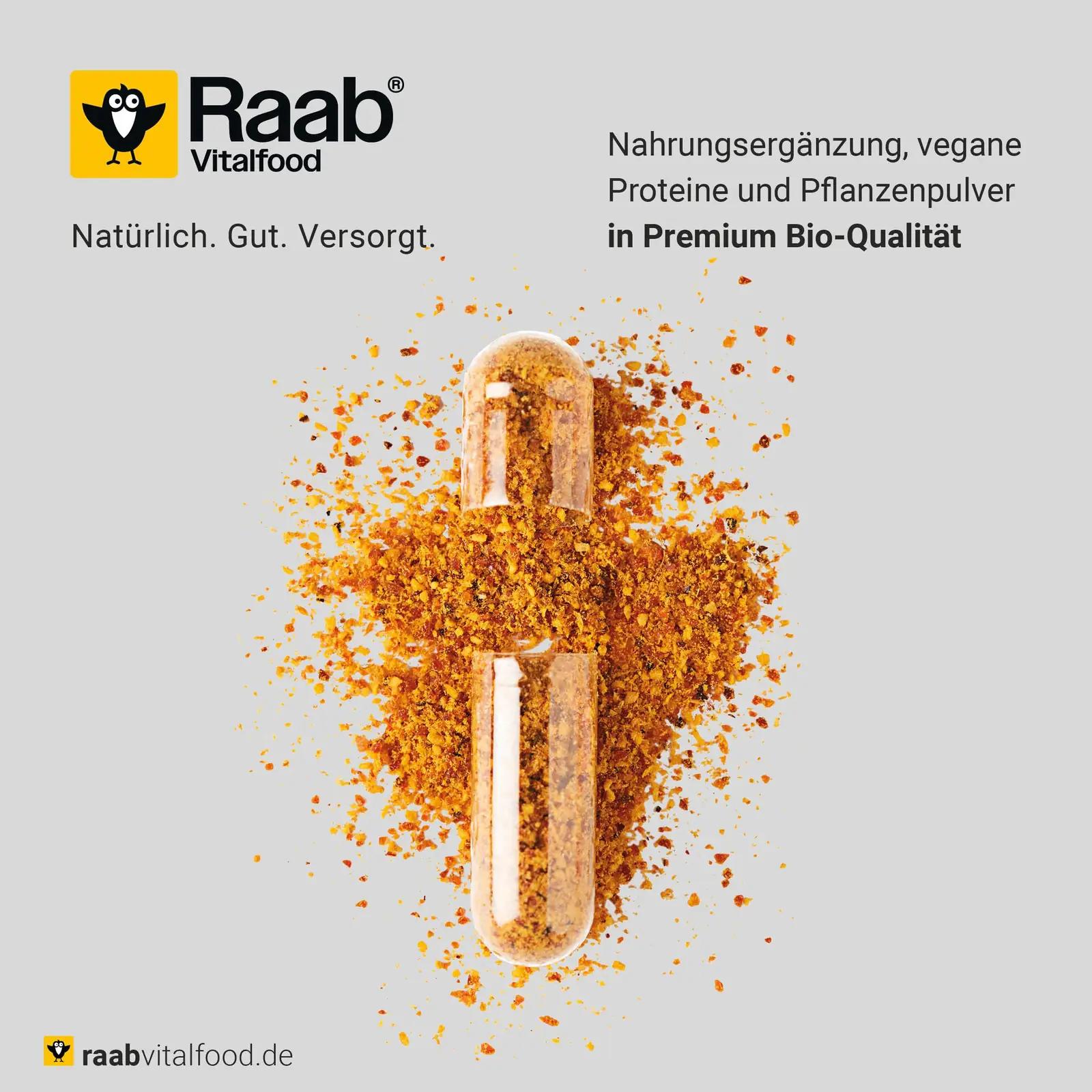 Raab Vitalfood orgaaniline hagebuttepulber — liigeste ja – pilt 9