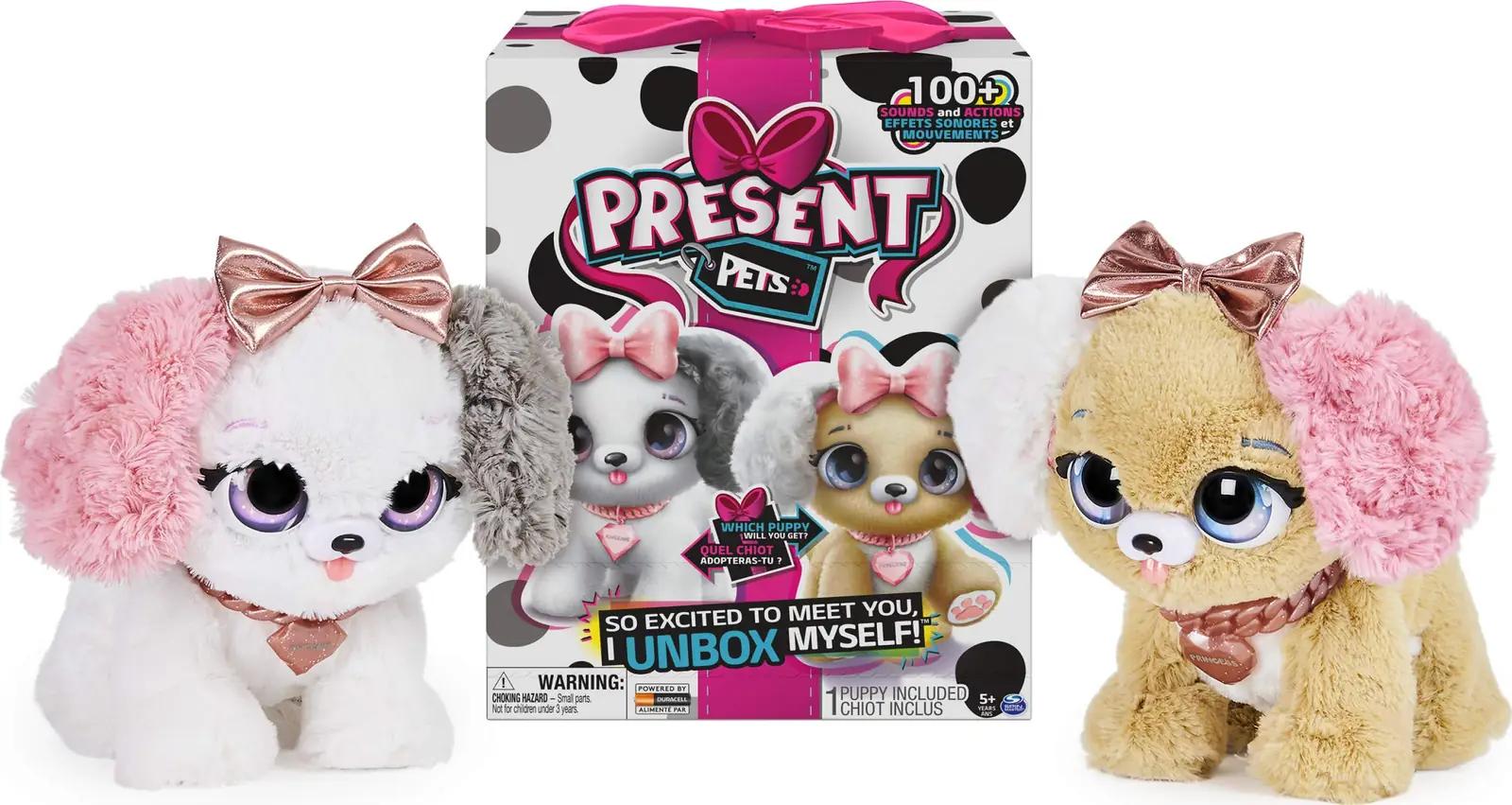 Present Pets 6051197 mänguasjad – toote esivaade