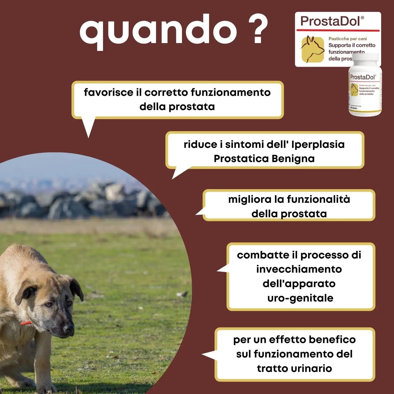 DOLFOS PETS lõõgastav prostato- ja kuseteede toidulisand koertele – pakend ja tarvikud