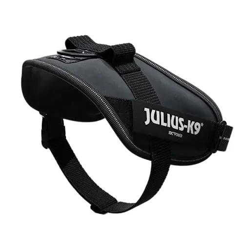 JULIUS K-9 tugev nahast jalutusvalja S/Mini – vastupidav ja mugav – kasutusnäide