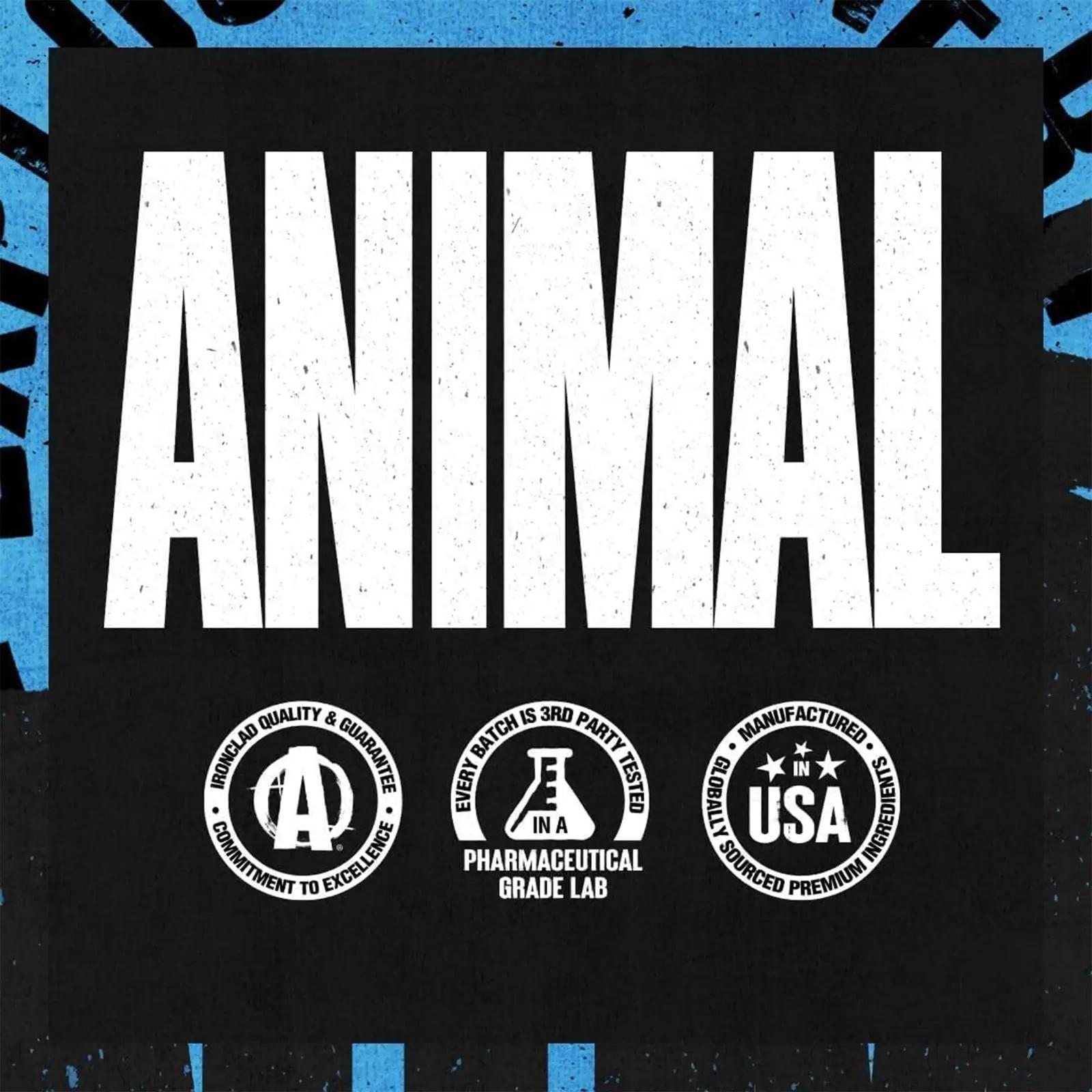 Animal kreatiinikapslid tugevusele ja taastumisele, 300 tk – kasutusnäide