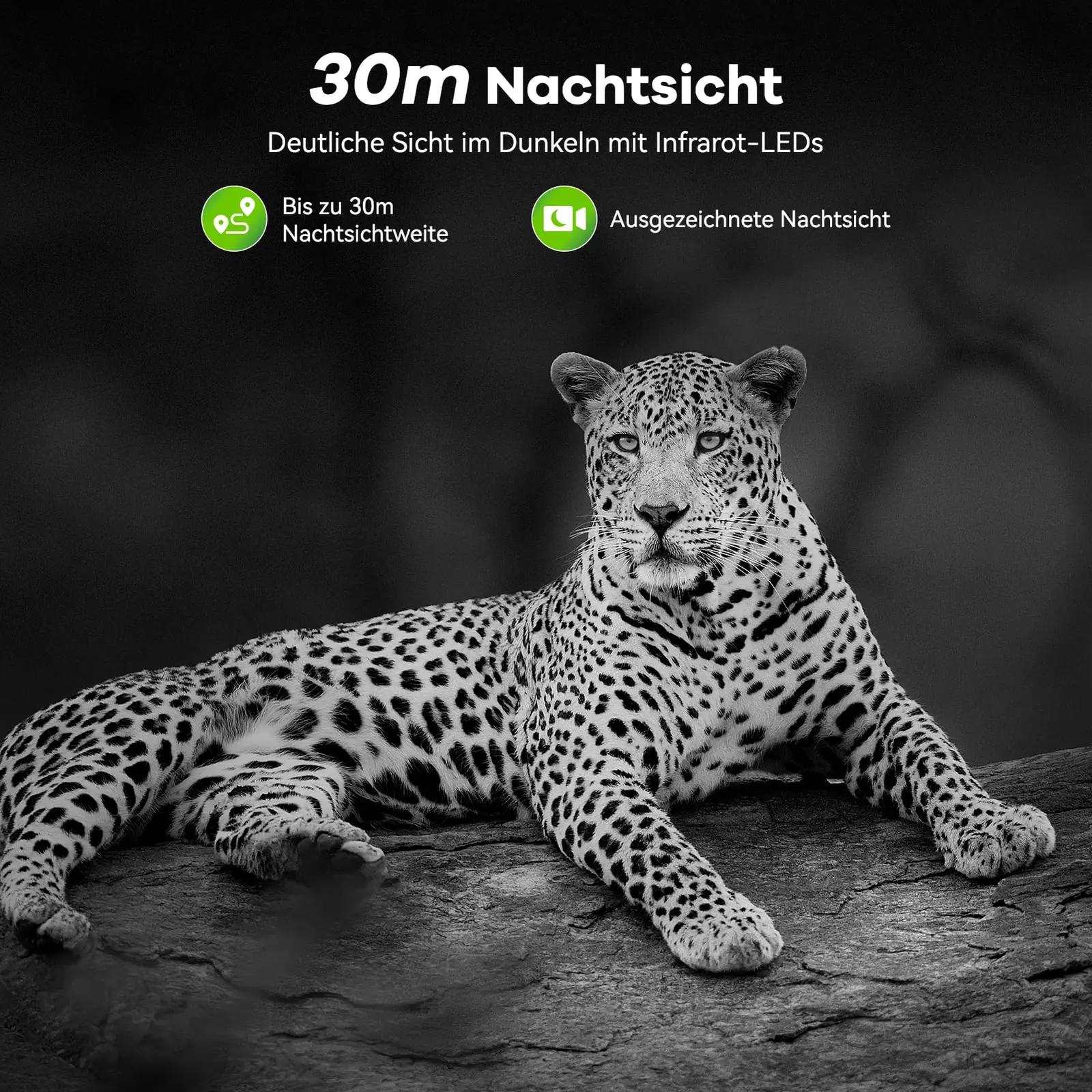 DEATTI vastupidav metsakaamera 4K 48MP koos WIFI-ga – pilt 6