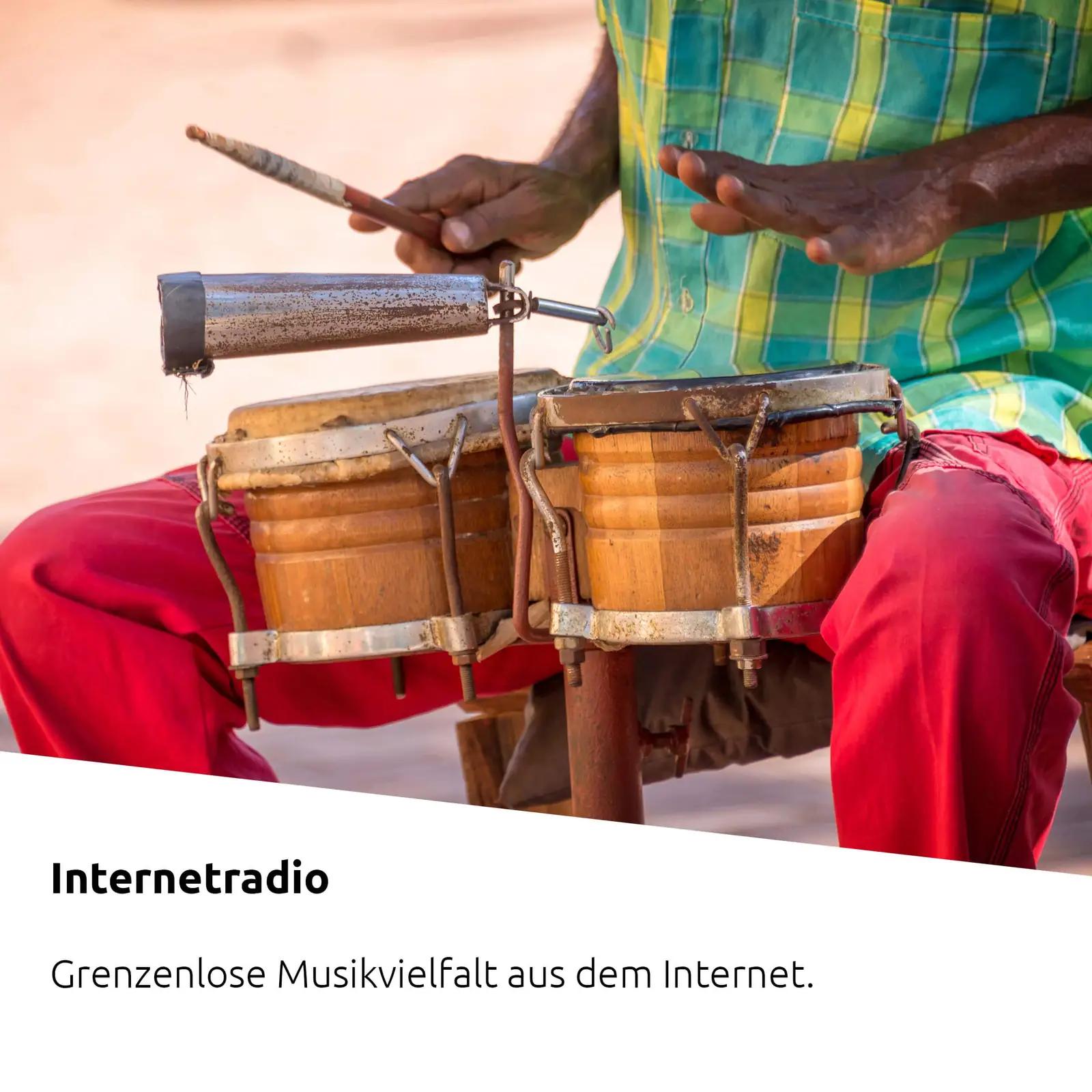 TechniSat puidust internetiraadio — kompaktne kodumusikaks – pakend ja tarvikud