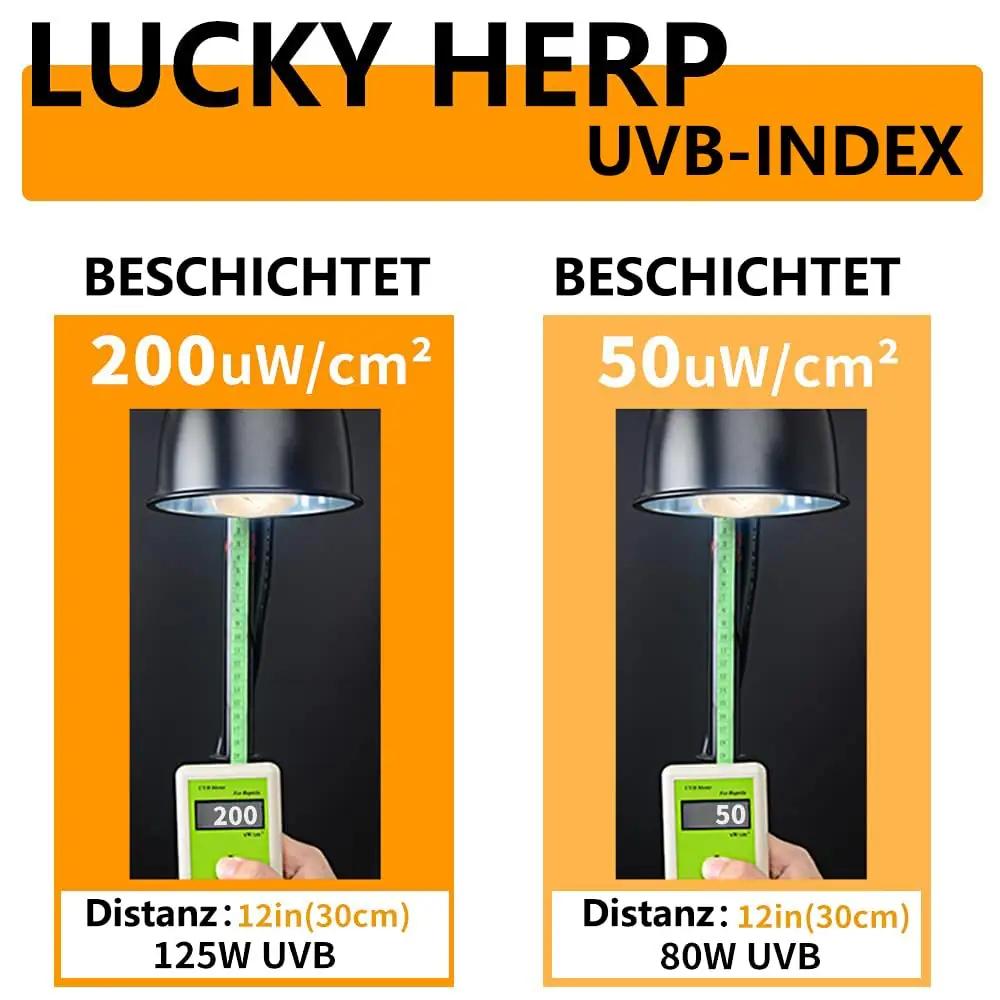 LUCKY HERP UV-A/UV-B klaasist terrarium soojalamp 125W – kasutusnäide